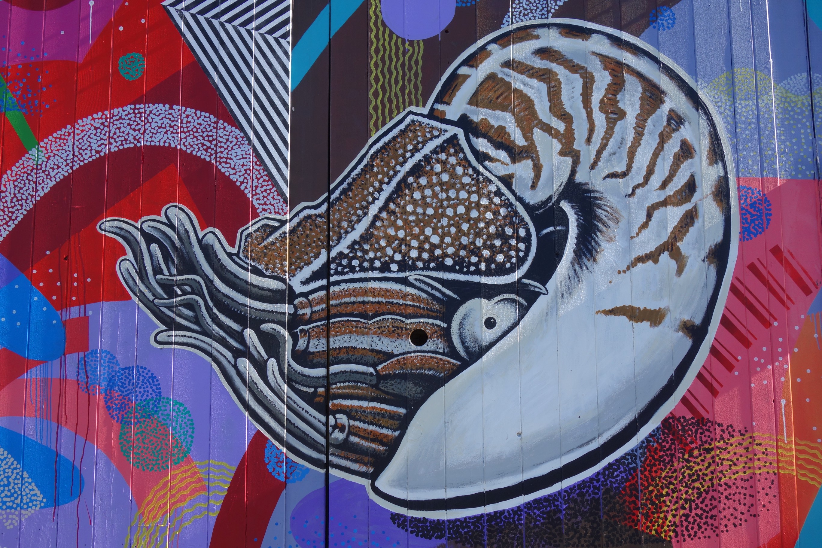 Wellington street art