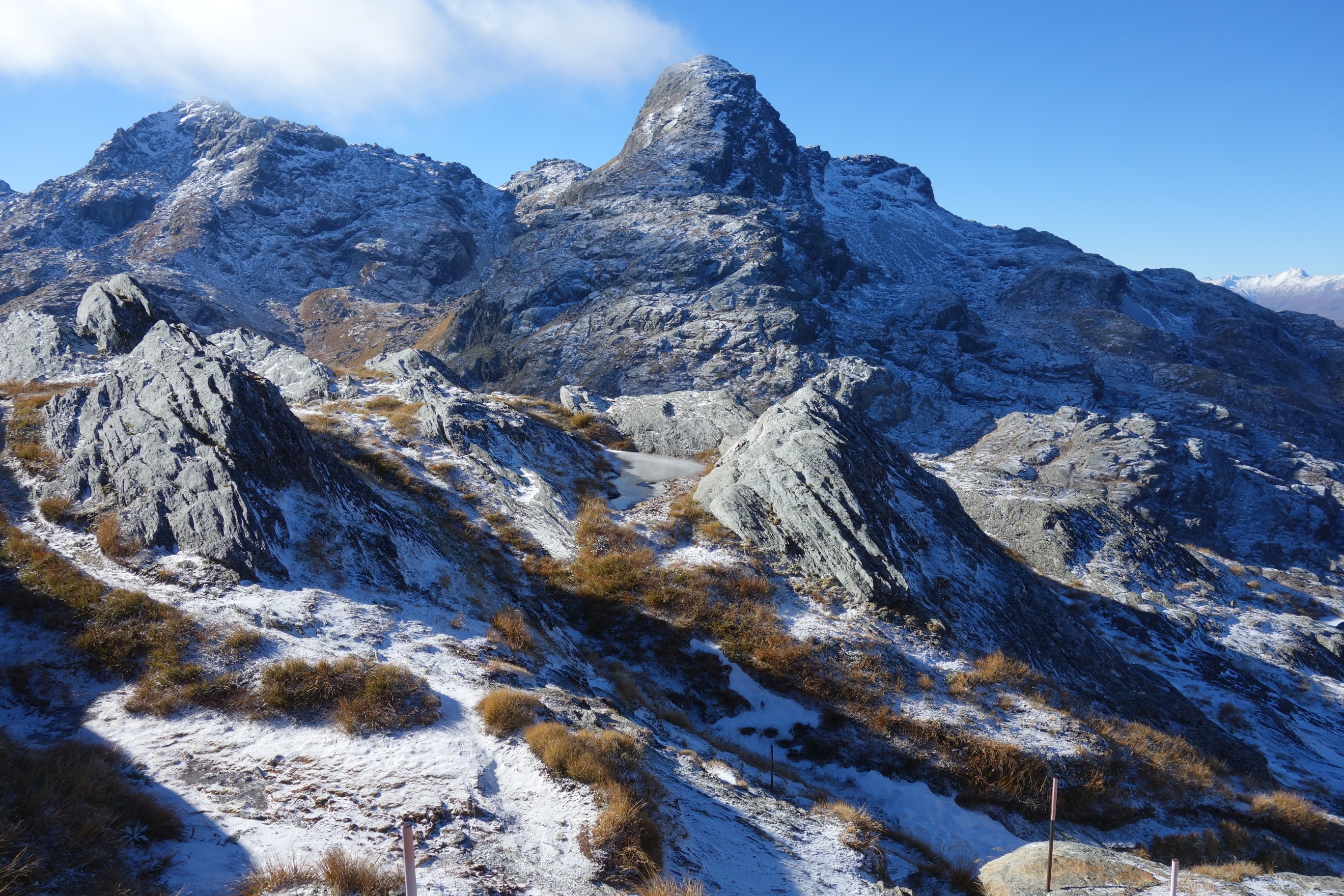 Routeburn Track Day Walk – Routeburn Shelter to Conical Hill return