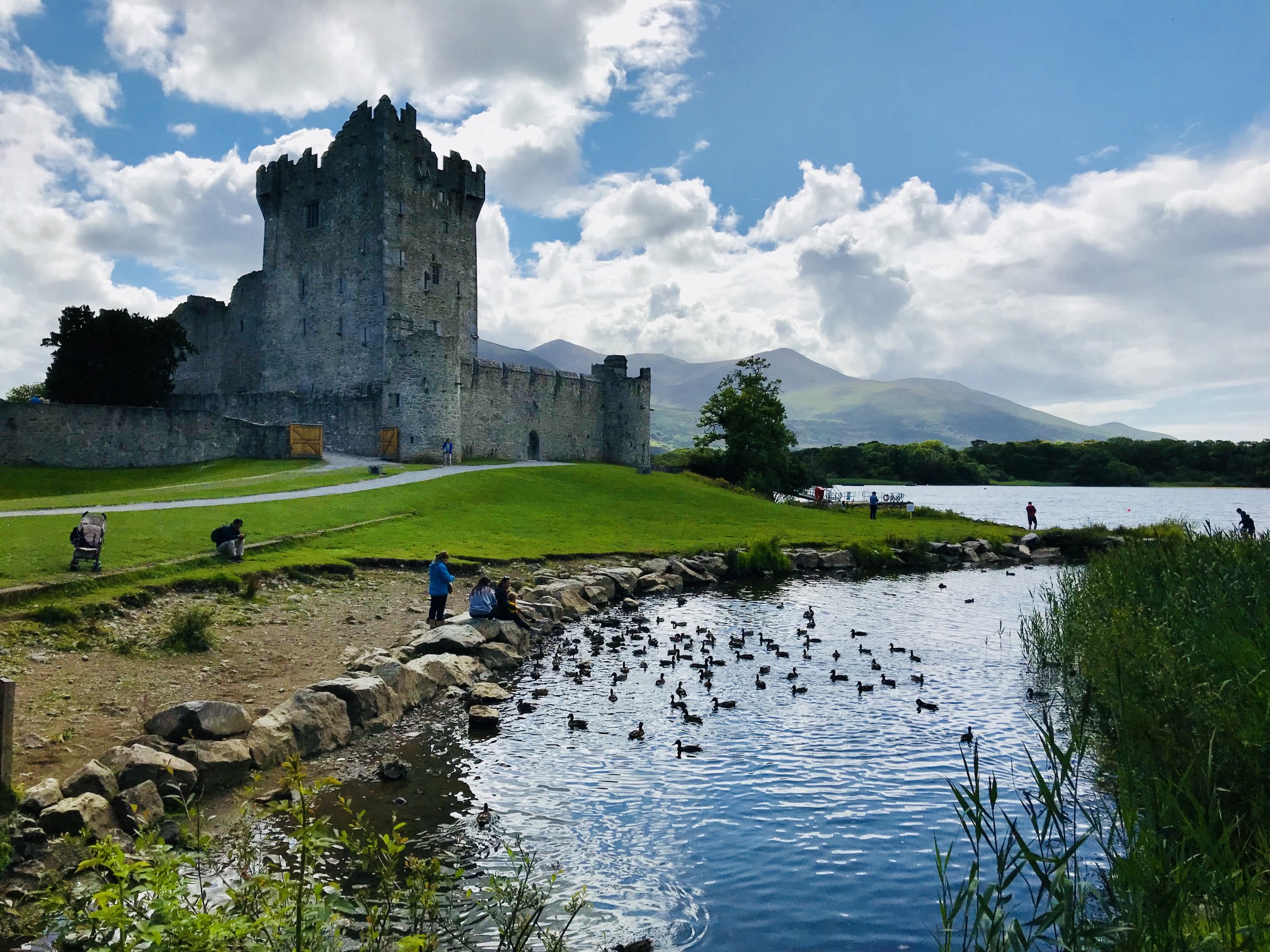 Irish castles and forts