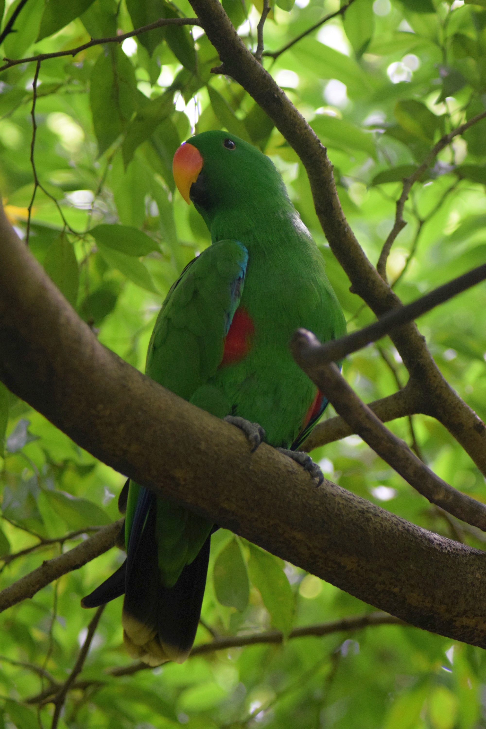 Port Moresby Nature Park – Jonty travel…