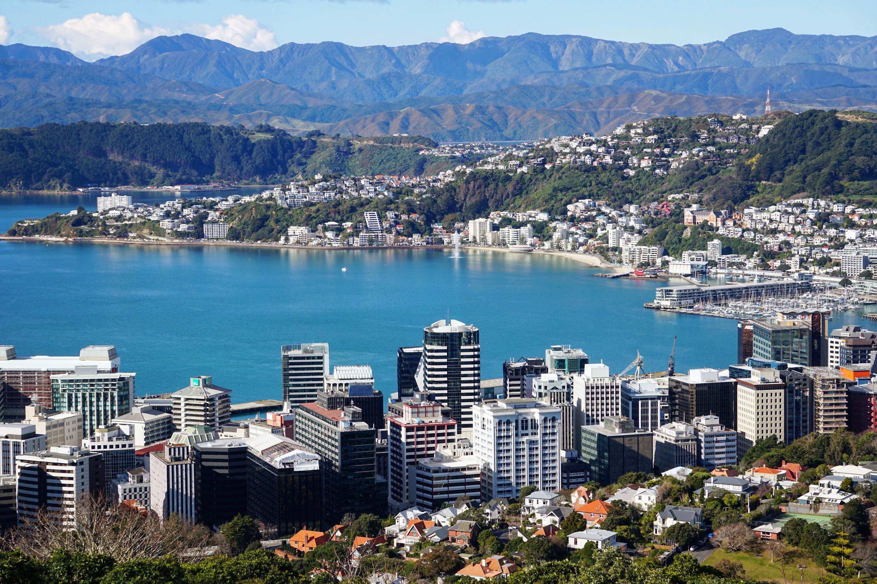 New Zealand cities ranked