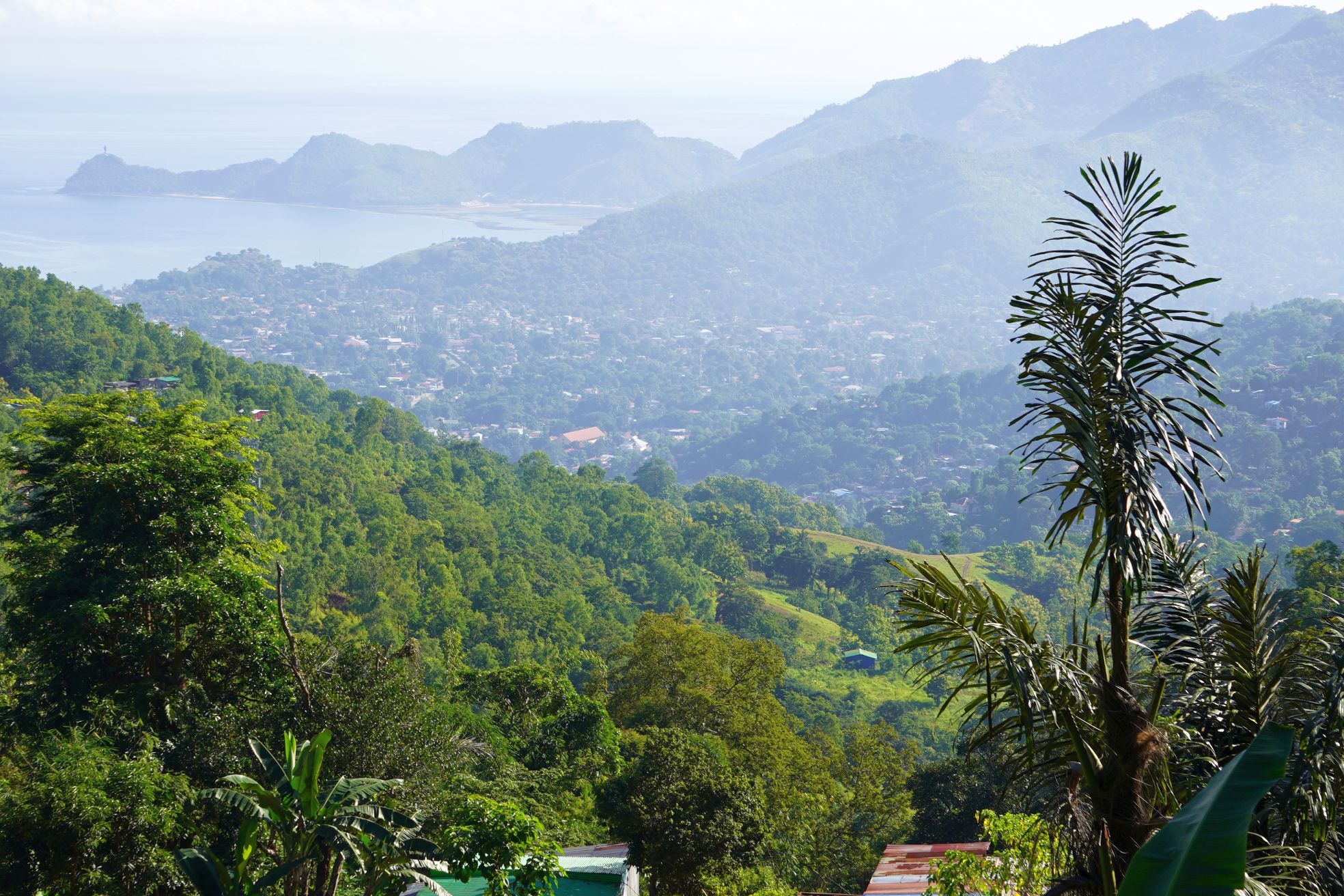 How did I end up volunteering in Timor-Leste?